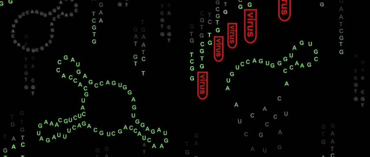 cover_image