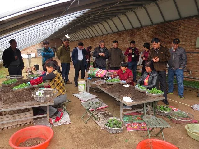 ����ʡƻ����ҵ��������ս�����˺ͱ���ƻ���о�Ժ������ũ�ֿƼ�