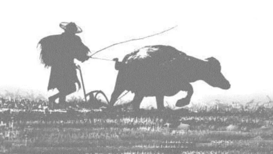 干的越多越吃亏——领导“鞭打快牛”暴露的人性