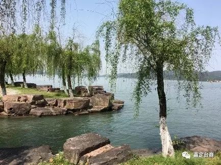 上海台协