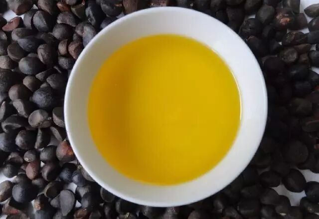 熬夜、抽烟，请多喝黑茶