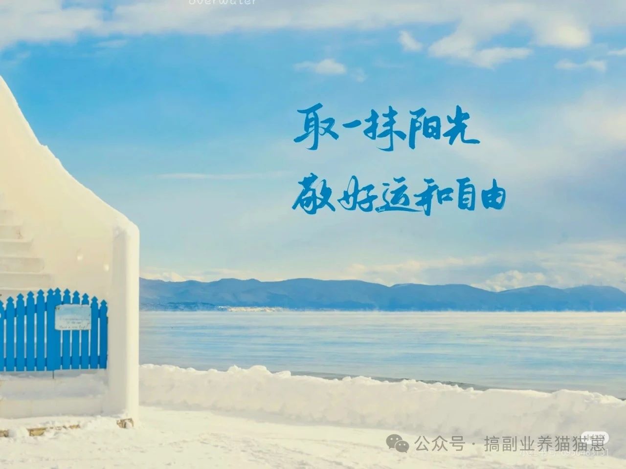 百度掘金