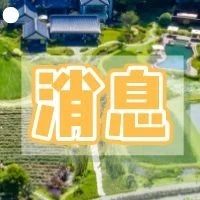 为爱放大，电子社保卡“长辈版”来啦！