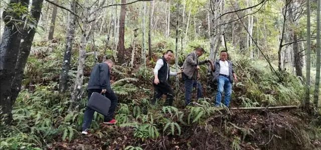 两广山区隐藏着郑成功后裔一族 选址营建奇门村六德堂 深藏 玄机