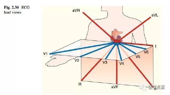心电图总是记不住？这些基础知识一定要掌握！