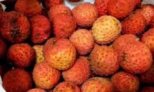 47人因吃荔枝死亡！医生呼吁：6类水果千万不要这样吃！