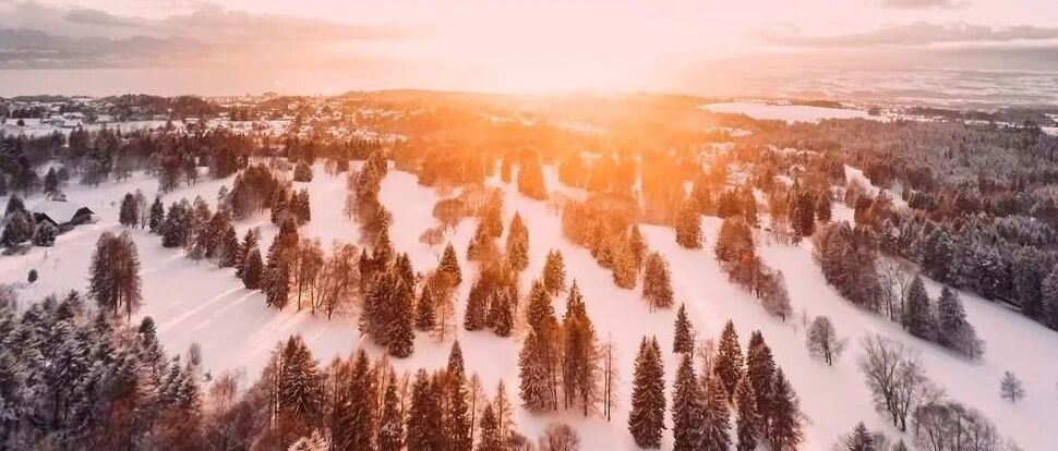 11月再见，12月你好！