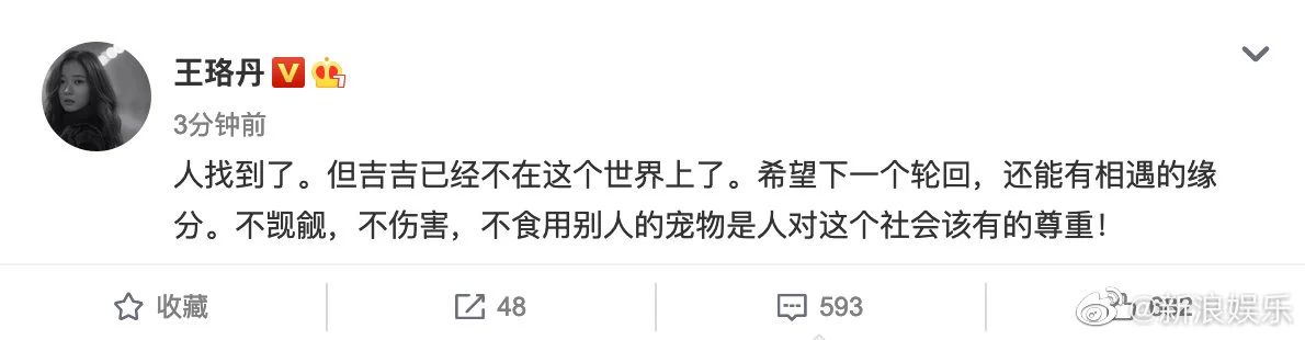 王珞丹呼吁保护野生鸟类