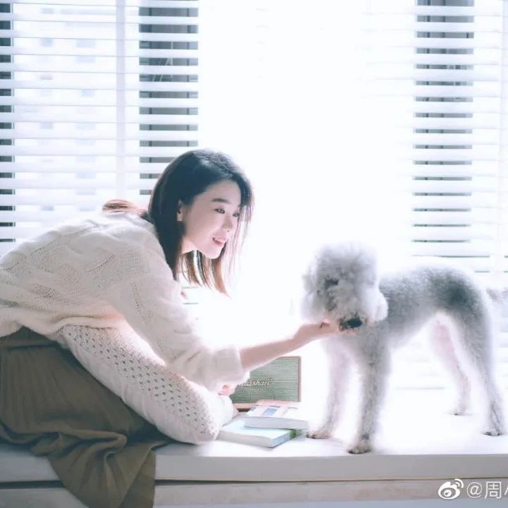34岁小姐姐晒独居照火出圈！一人住140㎡，再现变态收纳：1秒找到东西，完胜日本主妇