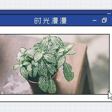 知名女星婚后13天被丈夫砍断手指：身价过亿，你还是得被我打！