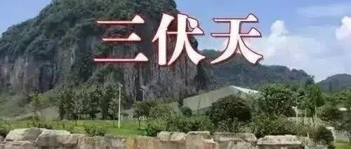 2021三伏时间表！最易生病的40天来了，不论男女都要这样做！