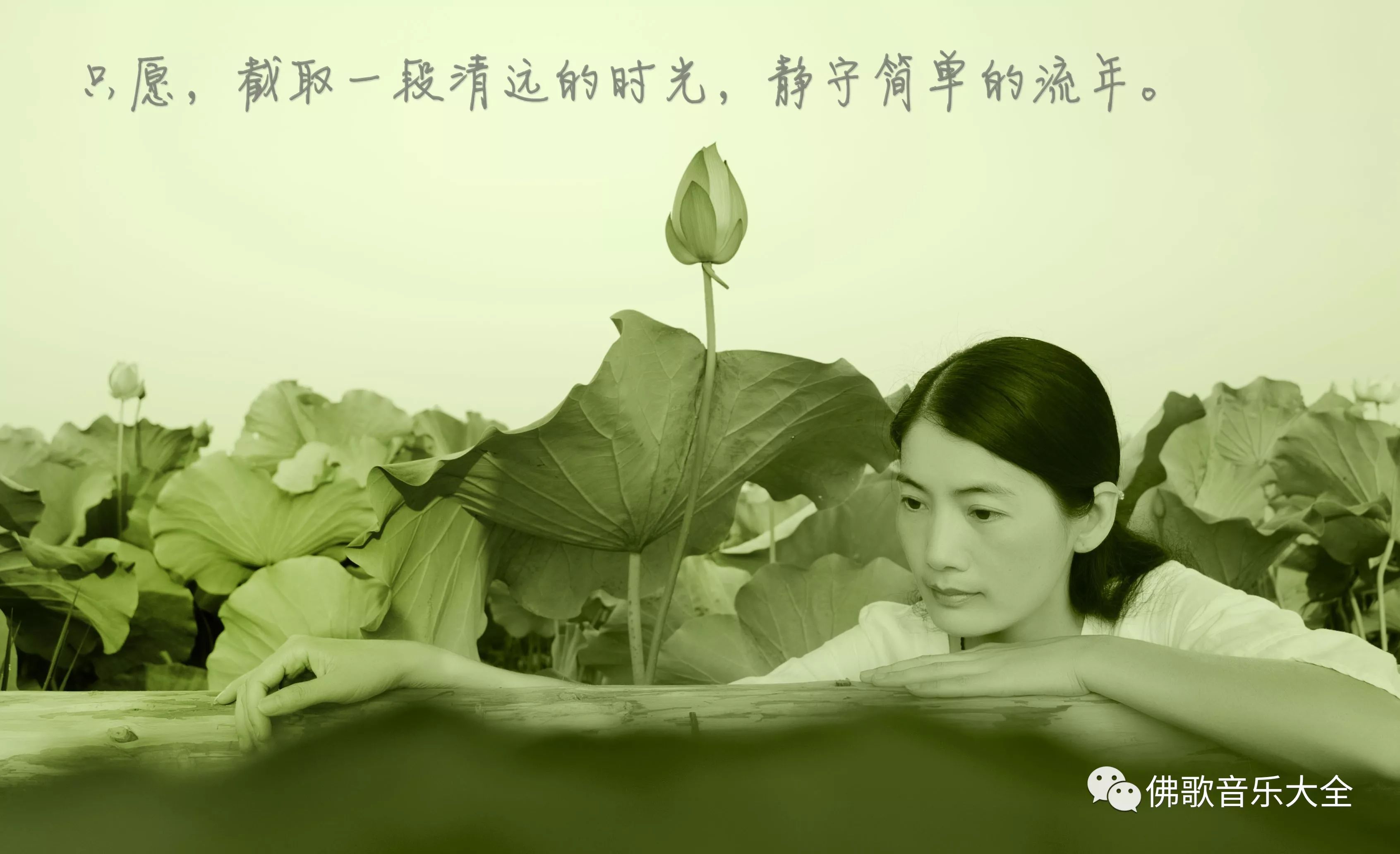 龚玥 一首佛歌《禅是一枝花》佛在你心里!