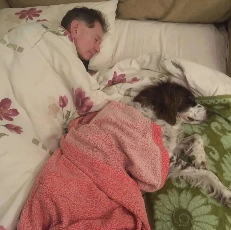 养狗时说狗只能睡在楼下，可后来...主动抱棉被挤沙发陪睡！