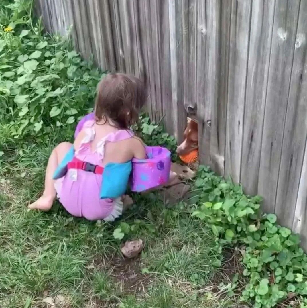 网友每天都要找邻居家的狗玩，可她却看不见也摸不着狗狗...