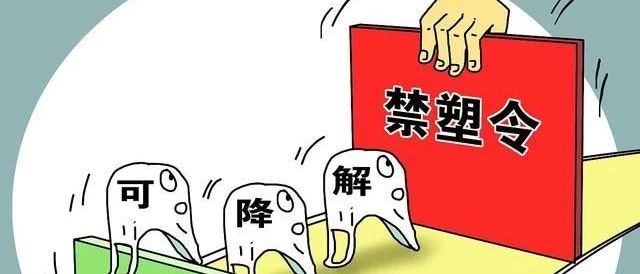 cover_image