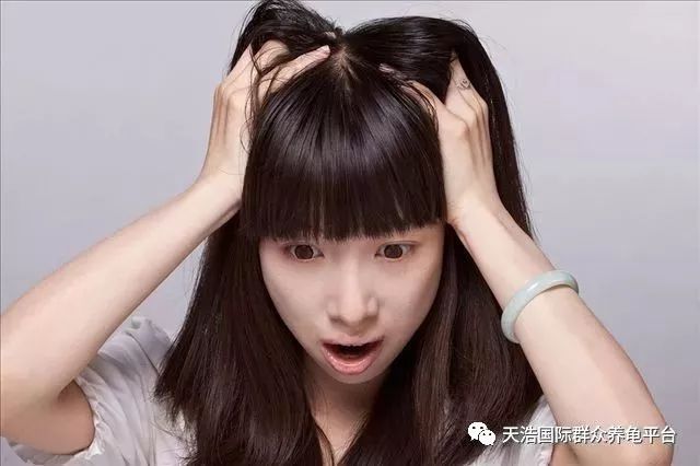 致富经养龟_致富经养龟_致富经养龟