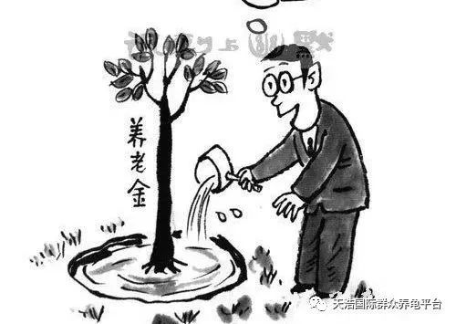 致富经养龟_致富经养龟_致富经养龟