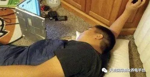 致富经养龟_致富经养龟_致富经养龟