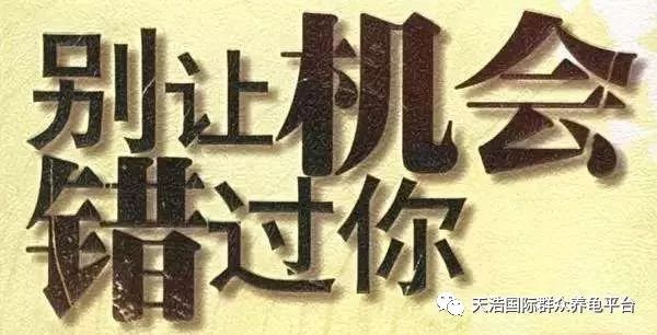 致富经养龟_致富经养龟_致富经养龟