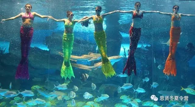 济南周末户外 济南周末户外