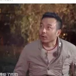 笑死了!柳岩吐槽李诞眼睛太小,那些和动物撞脸的明星还真的是不少!