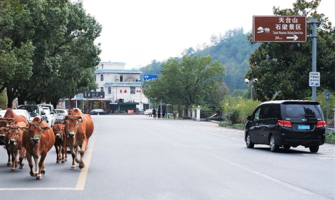 潜派旅行