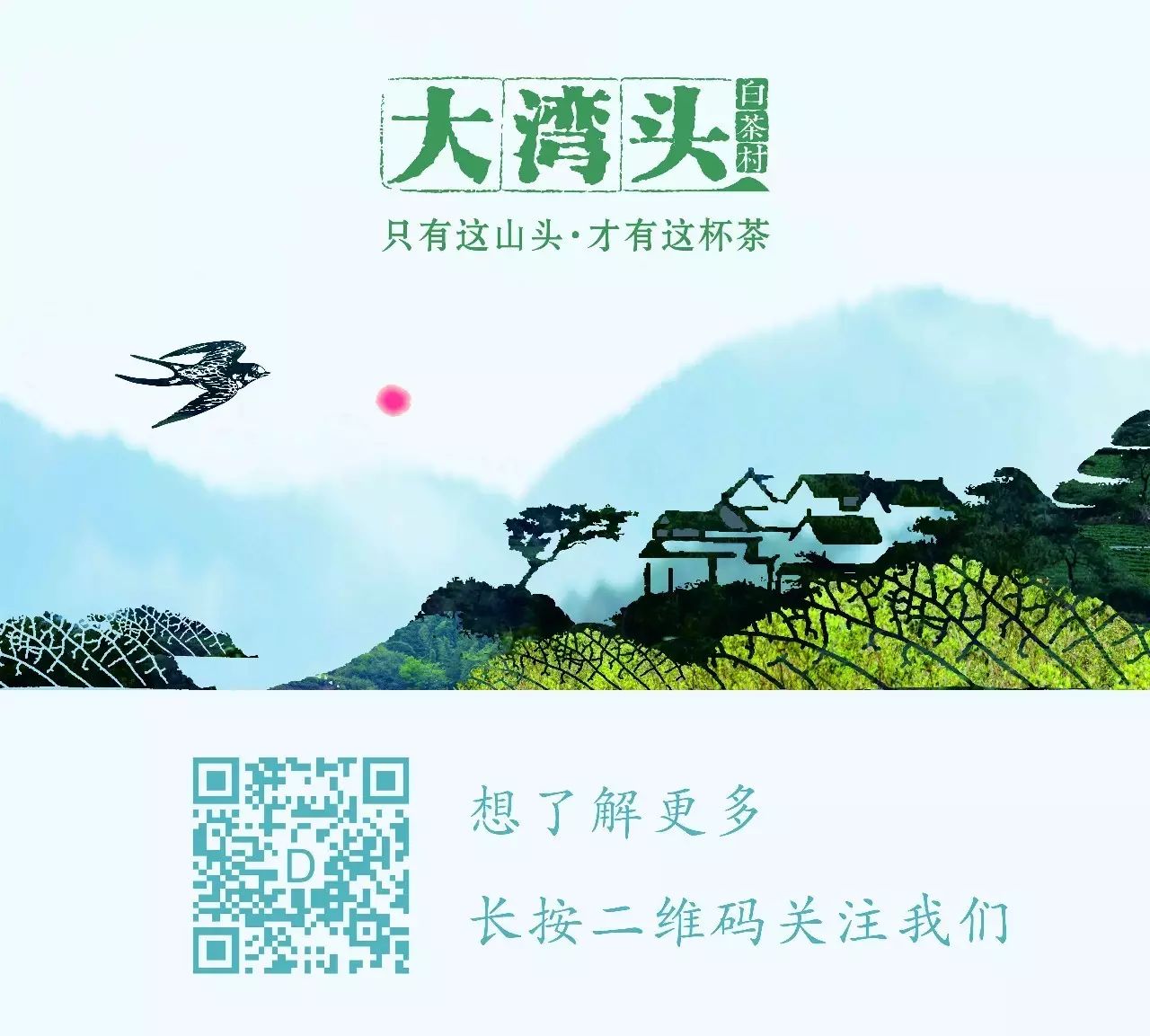 从头越产品介绍