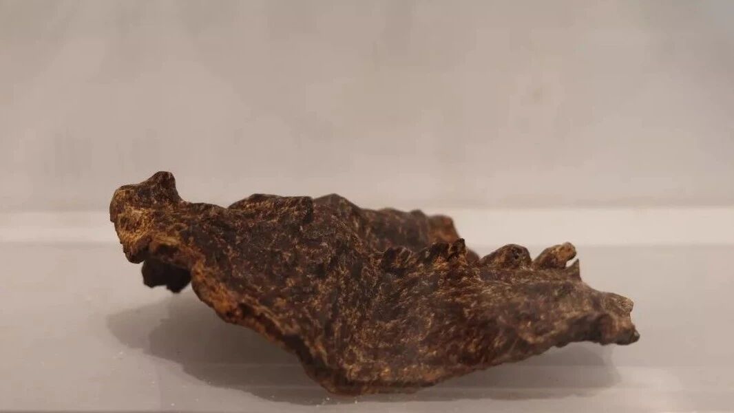 香木　伽羅　3g 特選 香木(伽羅) 3g