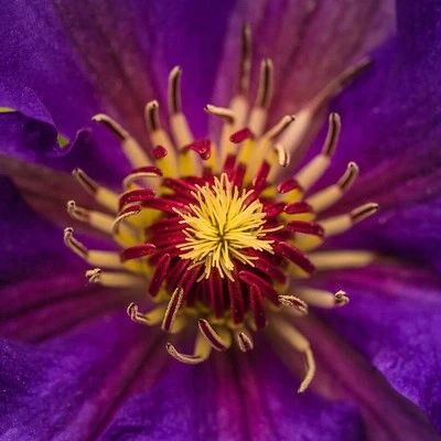 广东酒店管理的学校哪里比较好