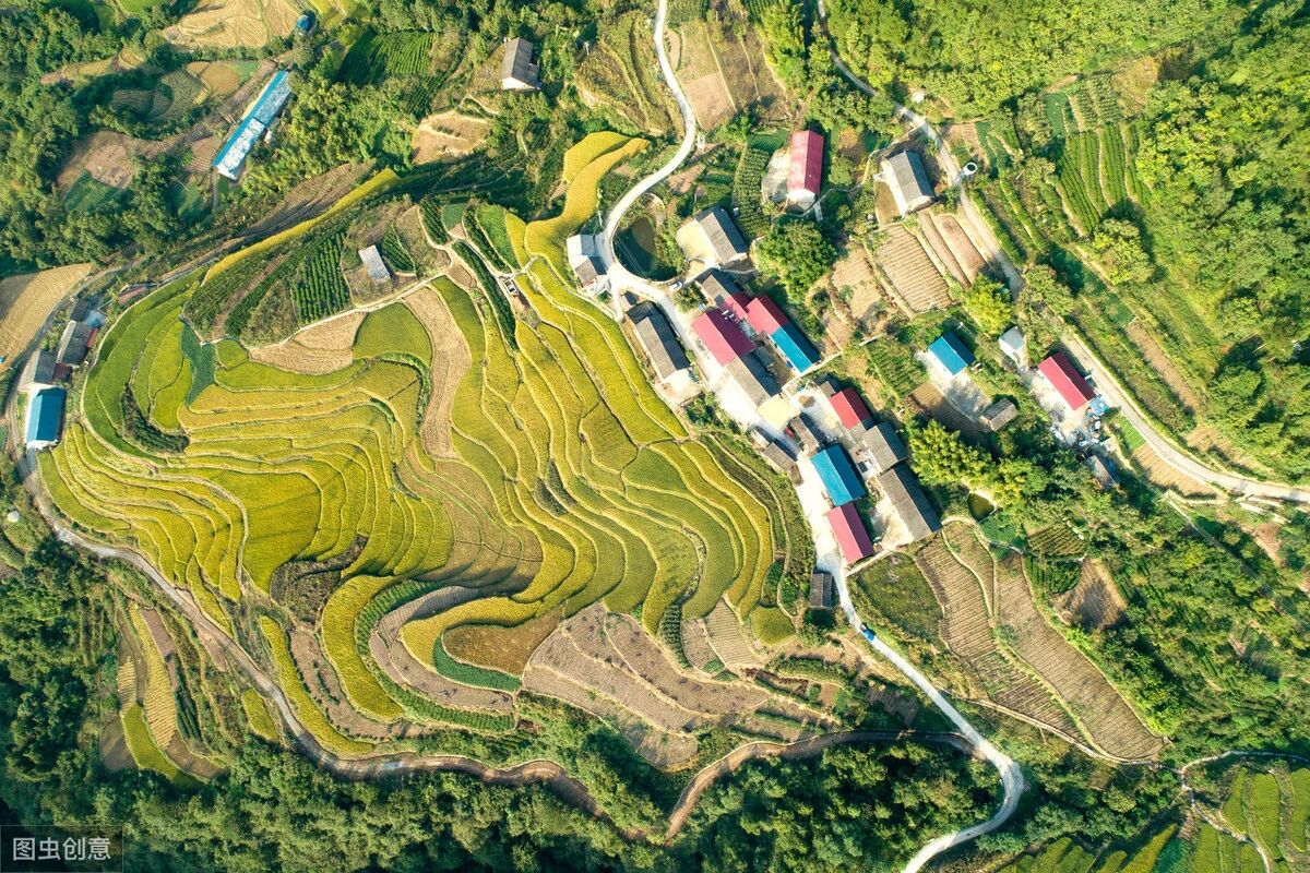 为何轻钢成为农民建房首选？真相太意外