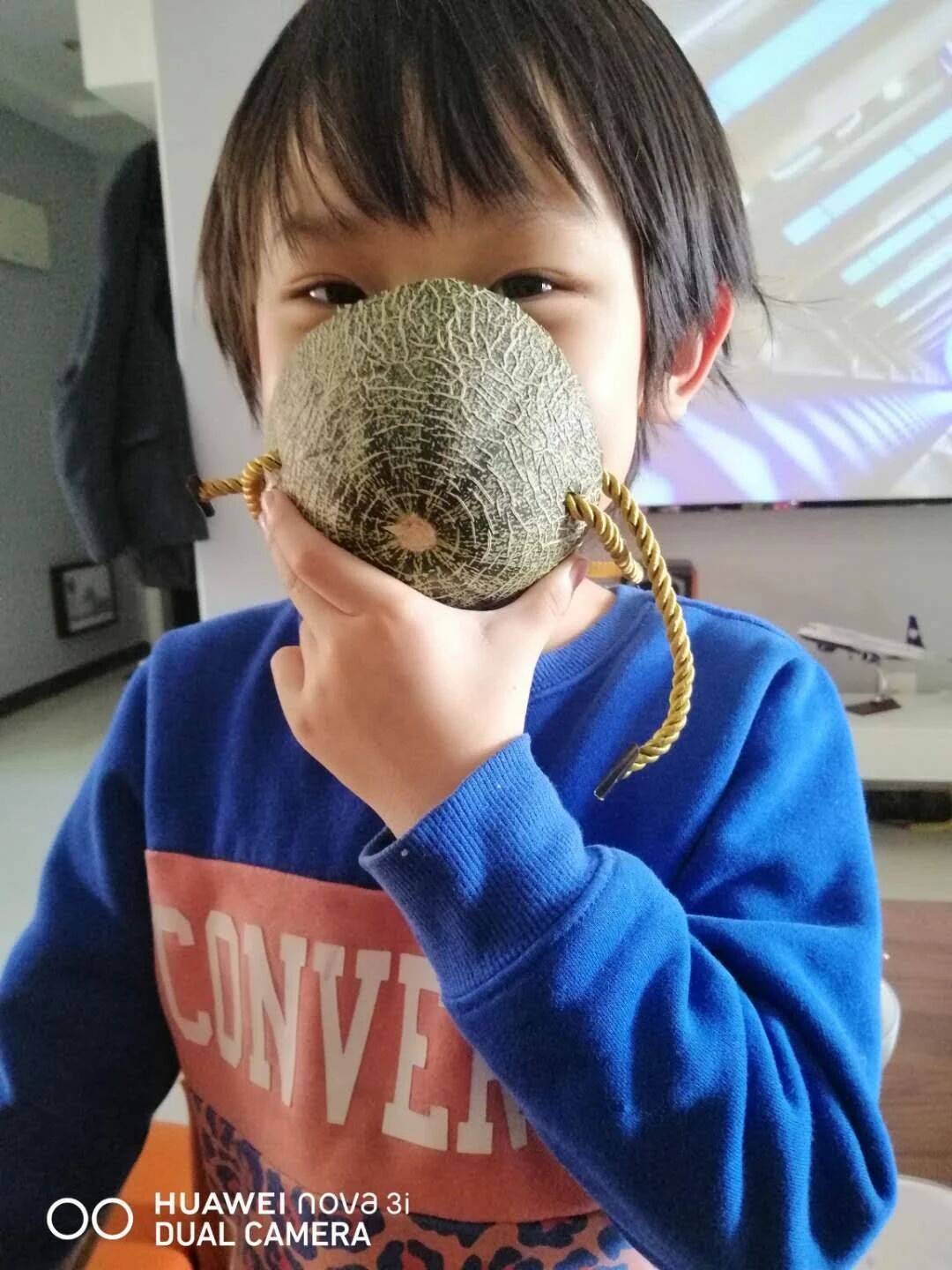 疫情宅家，五大领域的带娃秘籍-幼师课件网