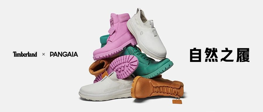 TIMBERLAND x PANGAIAحɫ