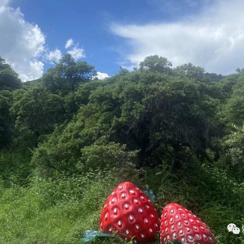 你要做一件新事：在沙漠开江河