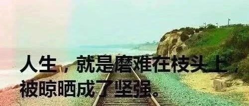 压伤的芦苇不被折断，将残的灯火不被熄灭