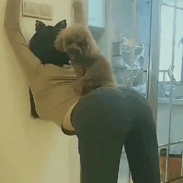 这是在进行什么修行？