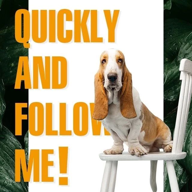˫ʮԼݼ|ͨڴսquickly and follow me