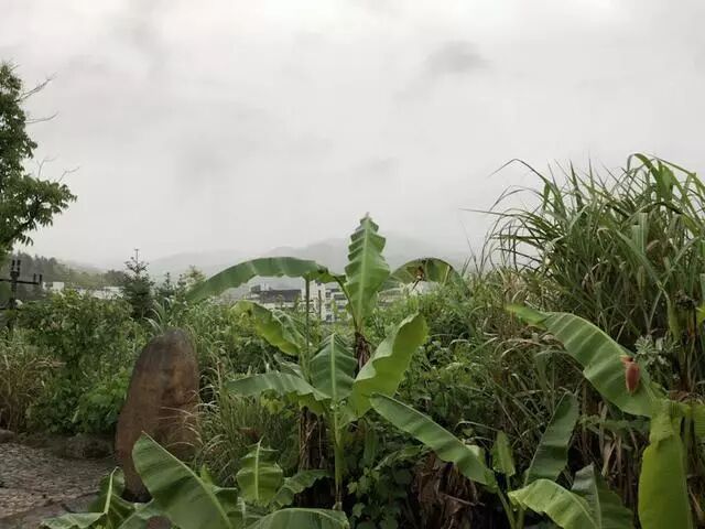 陈鹏的艺术“红色之旅”-中国文联、中国美协赴古田文艺培训