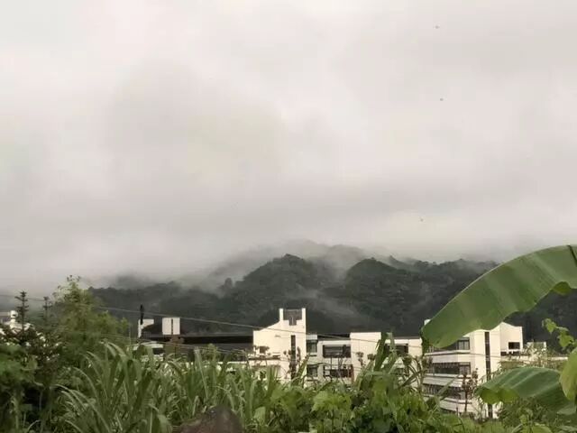 陈鹏的艺术“红色之旅”-中国文联、中国美协赴古田文艺培训