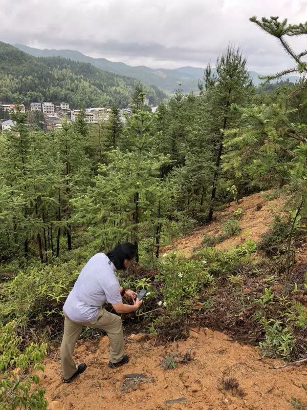 陈鹏的艺术“红色之旅”-中国文联、中国美协赴古田文艺培训