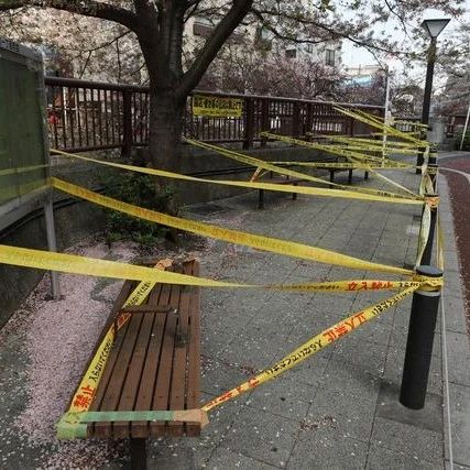 疫情下日本樱花季依旧冷清 经济持续遭受打击