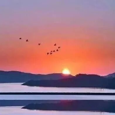 200首经典老歌，收藏起来慢慢回味吧！