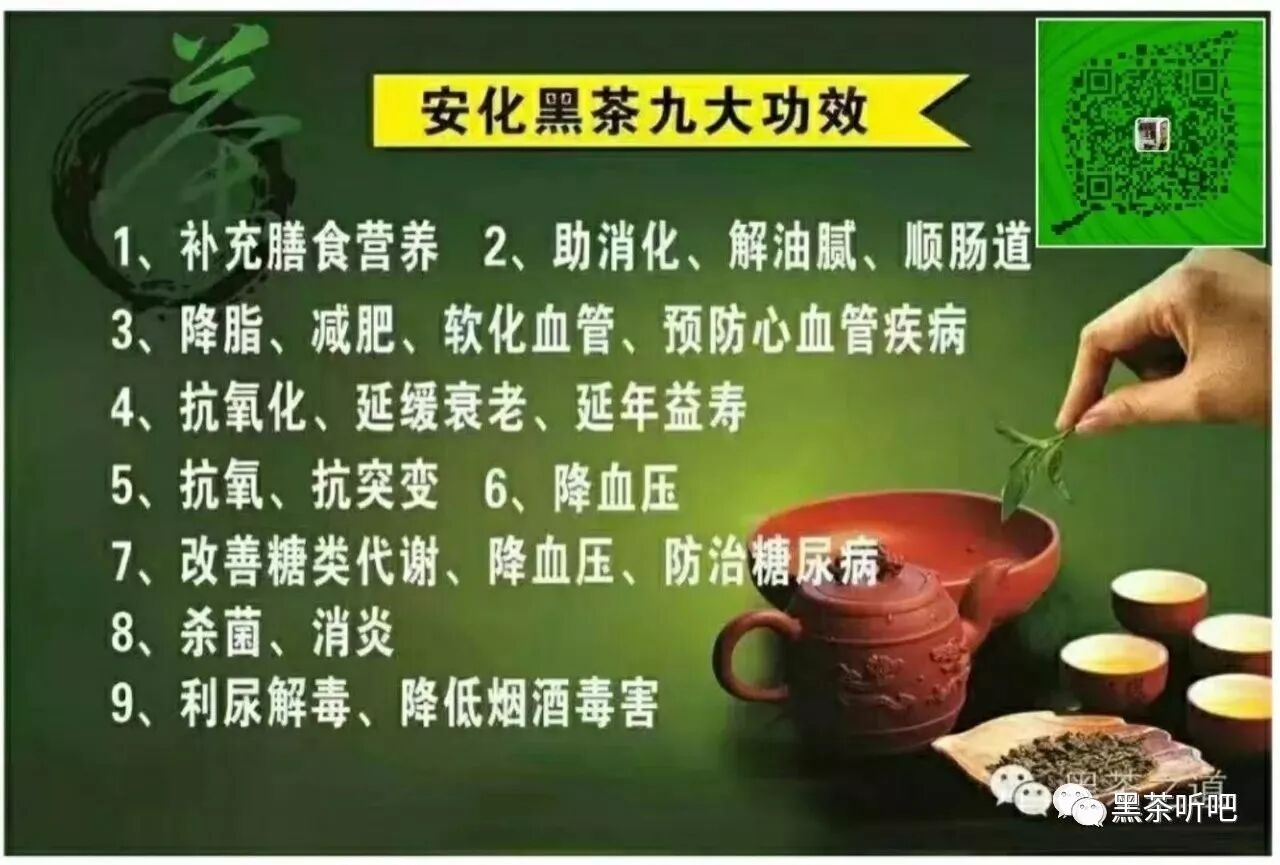 湖南国际频道《黑茶时代》