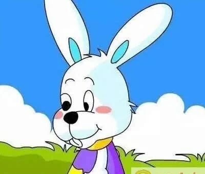 小白兔找工作的故事