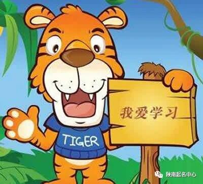 爱读书的小老虎