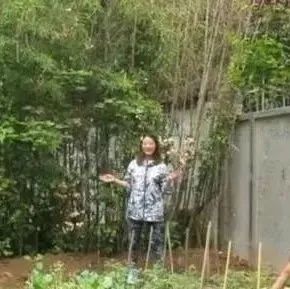 勾心斗角:真相大白 : 54岁周海媚独居北京,拥有超大菜园,坦言不需要找男人碍手碍脚