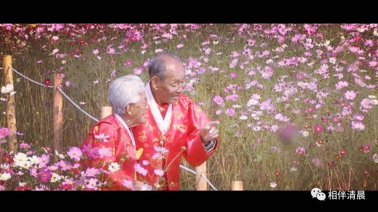 怎么会有纪录片从头到尾都是哭点