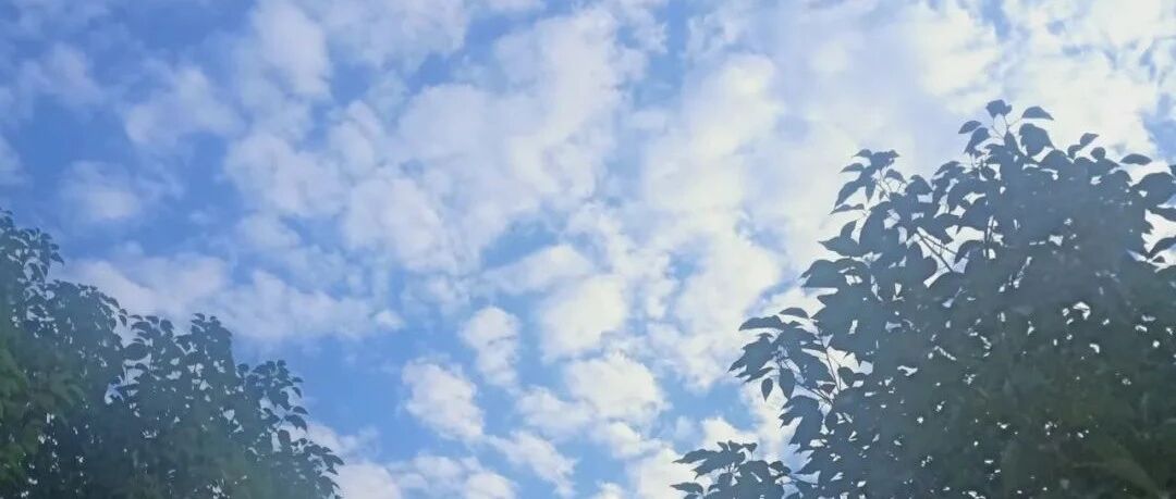 【青春语文·亚平专栏】《大秦赋》里的成长隐喻
