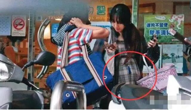 为嫁入豪门，肚子大了没领证？郭碧婷不是任人摆布的“生娃工具”