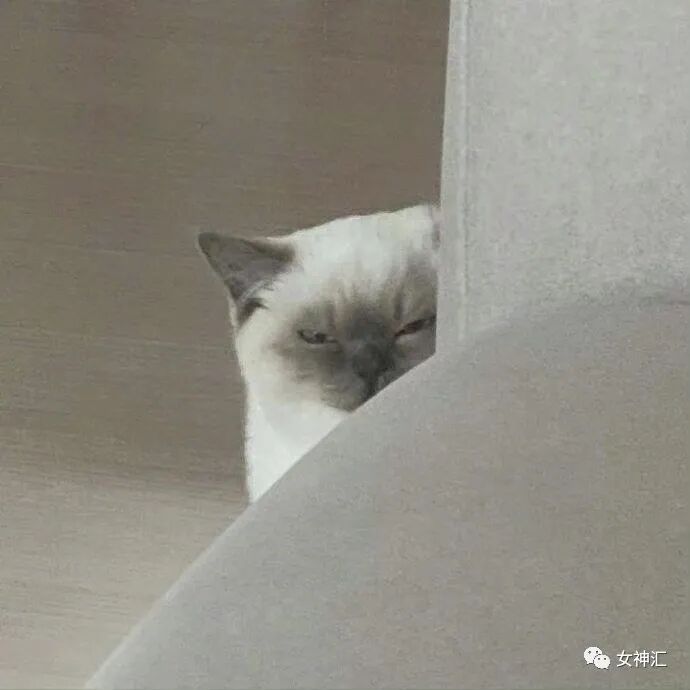 【爆笑】“求求你别诅咒我了！”深夜前男友突然发消息给我，结果..场面极度混乱！（组图） - 33
