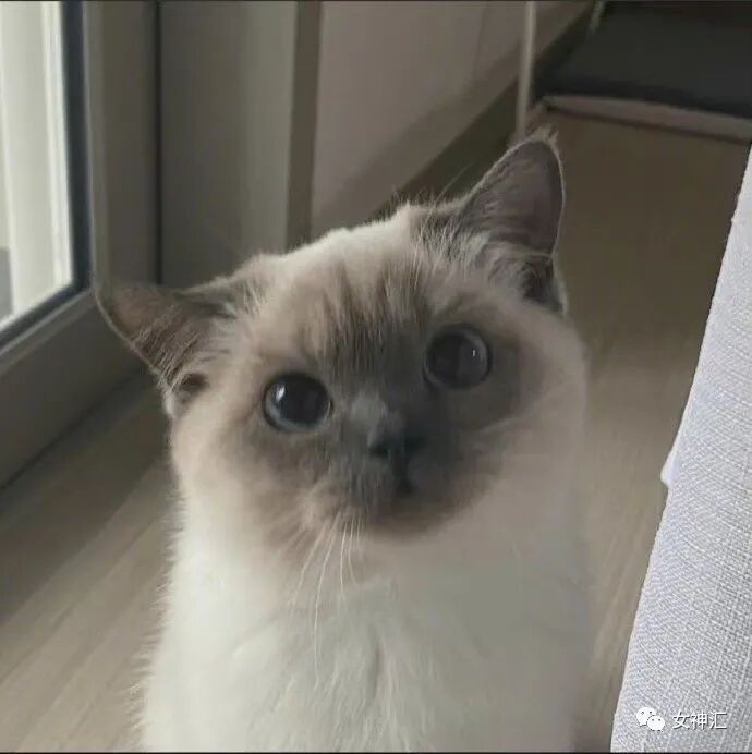 【爆笑】“求求你别诅咒我了！”深夜前男友突然发消息给我，结果..场面极度混乱！（组图） - 32